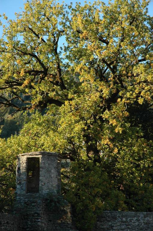 Agriturismo Casteldelpiano Licciana Nardi Buitenkant foto